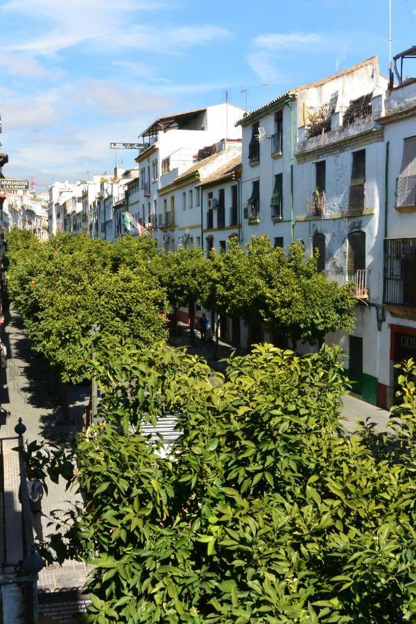 Casa Del Portillo-centro Historico Dom wakacyjny